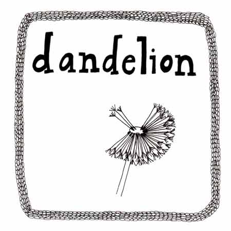 I think I had known this before but I relearned that the name dandelion 
